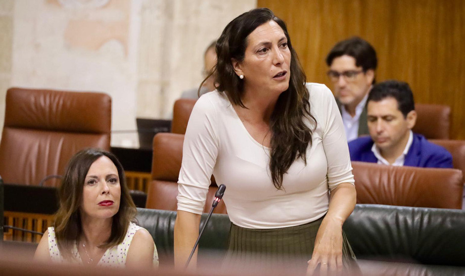 Loles López Gabarro, consejera de Inclusión Social, Juventud, Familias e Igualdad de la Junta de Andalucía.