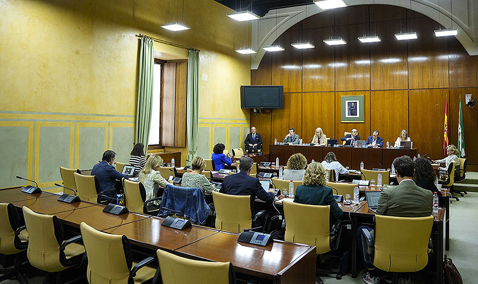 Comisión de Salud y Consumo del Parlamento andaluz.