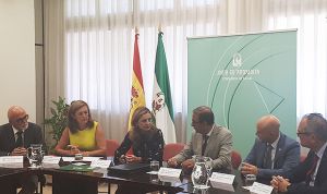 Andalucía y la US colaboran para ampliar el área del Virgen Macarena
