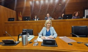 Aragón llevará al Interterritorial el estatus de sanitarios como autoridad