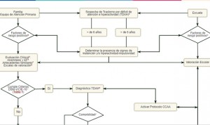 Así es el algoritmo de los pediatras españoles para diagnosticar TDAH