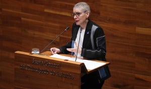  La consejera de Salud del Principado de Asturias, Concepción Saavedra.