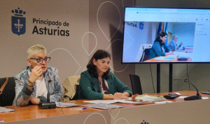 Asturias crea un mapa de competencias para enfermeras especialistas