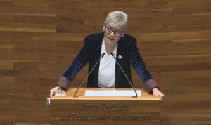  La consejera de Salud del Principado de Asturias, Concepción Saavedra.