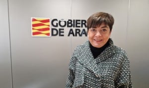Directora del Servicio de Teruel de Sanidad: Asunción Navarrete