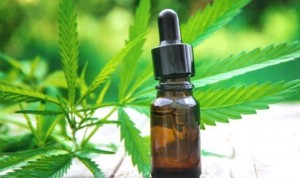 Auge del cannabis medicinal para tratar afecciones dermatológicas
