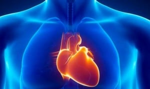 Covid: las autopsias muestran presencia del virus en el corazón y su efecto