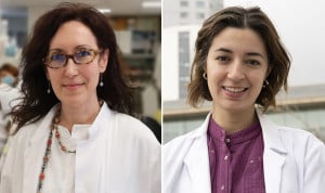 Identifican nueva enfermedad del neurodesarrollo asociada al gen RPS6KC1