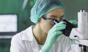 Biomedicina se corona como la principal actividad investigadora en España