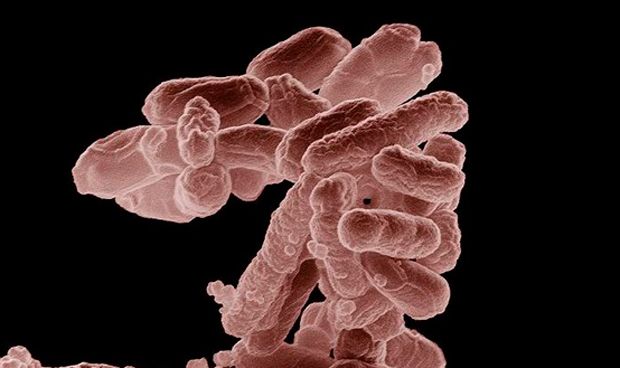 Cada año 1,8 millones de jóvenes de todo el mundo desarrolla tuberculosis