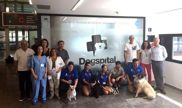Can Misses abre su ‘Dogspital’, una sala de visitas para perros