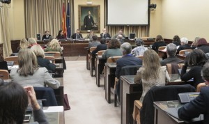 Carcedo acompaña a Ana Prieto en la Comisión de Sanidad del Congreso