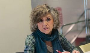 Carcedo alaba la "prontitud" de la Fiscalía con los expedientes de iDental