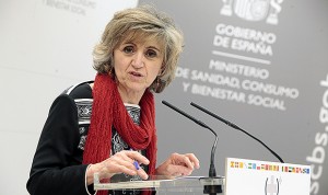 Carcedo aleja la posibilidad de un MIR extraordinario en 2019