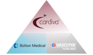 Cardiva, nuevo distribuidor en España de Bolton Medical
