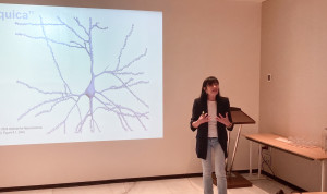Cartografía y neurorrevolución para descifrar la 'caja negra' del cerebro