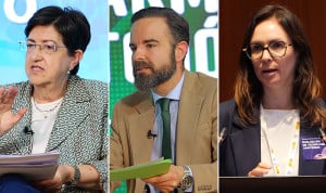 Castilla y León, Andalucía y Comunidad Valenciana, con voto en la CIPM