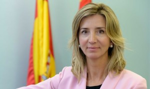 Castilla y León aprobará su estrategia de dependencia antes de fin de año