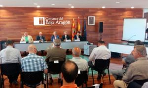 Celaya presenta el proyecto del nuevo hospital comarcal de Alcañiz 