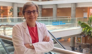 Un brote de chikungunya en España es "poco probable", pero no imposible