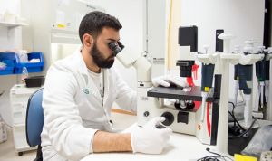 Ciencia abre la convocatoria de ayudas para estancias en centros de I+D 