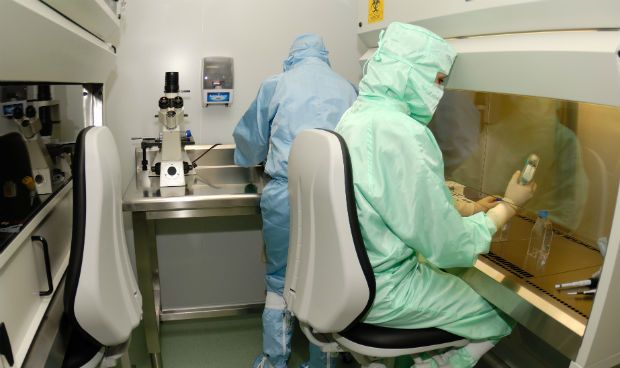 Científicos andaluces reciben 110.000 euros para la investigación celular