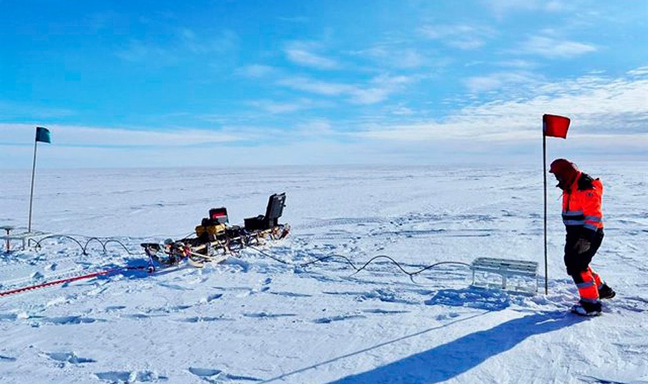 Presencia por primera vez en la Antártida del virus de la Gripe Aviar Altamente Patogénica