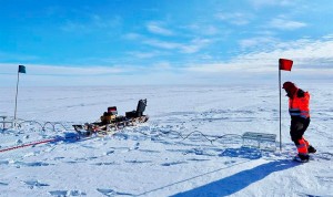 Presencia por primera vez en la Antártida del virus de la Gripe Aviar Altamente Patogénica