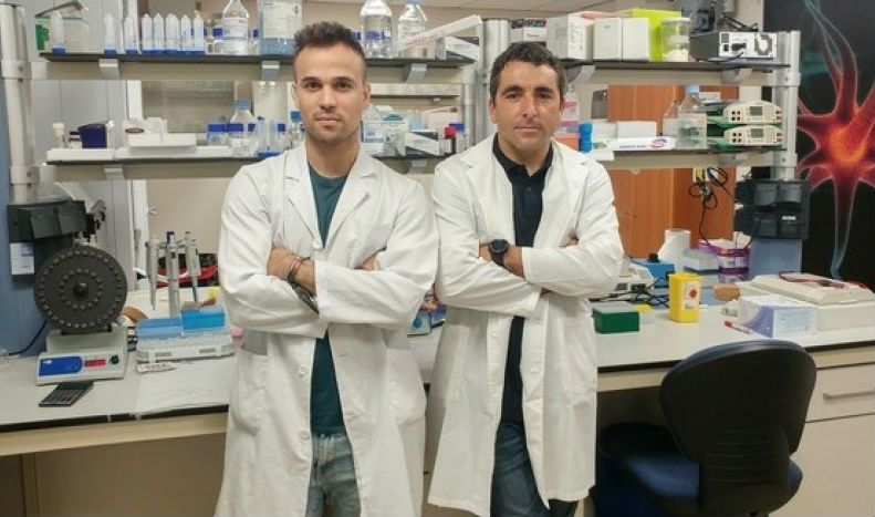 Científicos españoles descubren un tratamiento "prometedor" para el ictus