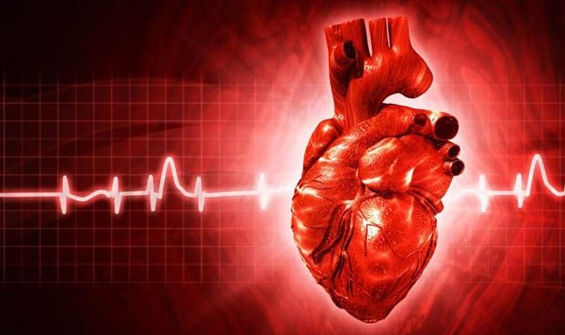 Científicos españoles trabajan para crear el primer ‘corazón virtual’