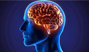 Cinco regiones del cerebro son más pequeñas en las personas con TDAH
