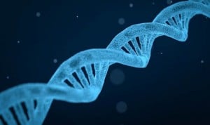 Completan la primera secuenciación en la historia del cromosoma humano X
