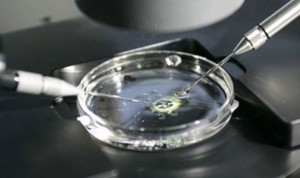 Condenan a una clínica canaria que fecundó a una mujer con semen equivocado