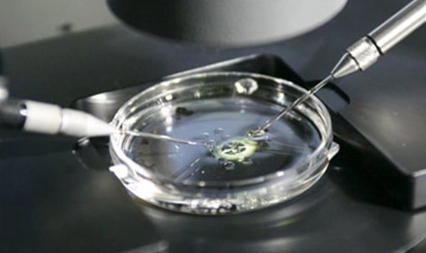 Condenan a una clínica canaria que fecundó a una mujer con semen equivocado