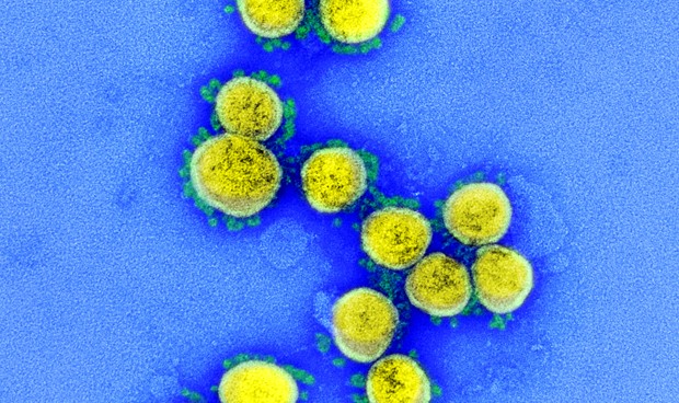 Confinamientos Covid-19: resumen del coronavirus domingo 5 de julio