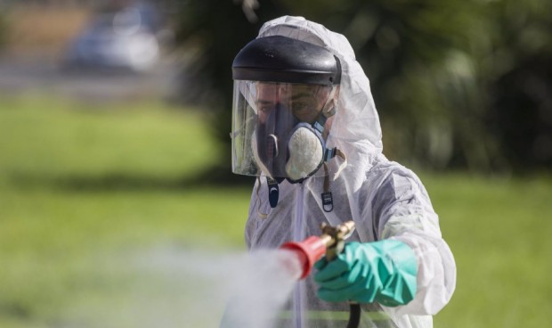 Sanidad notifica un caso positivo de virus del Nilo Occidental en Cádiz
