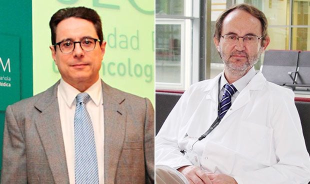 Conflicto entre hematlogos y onclogos por liderar la terapia del cncer