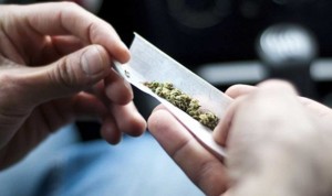 Consumir cannabis, nuevo factor de riesgo para contraer Covid-19 grave