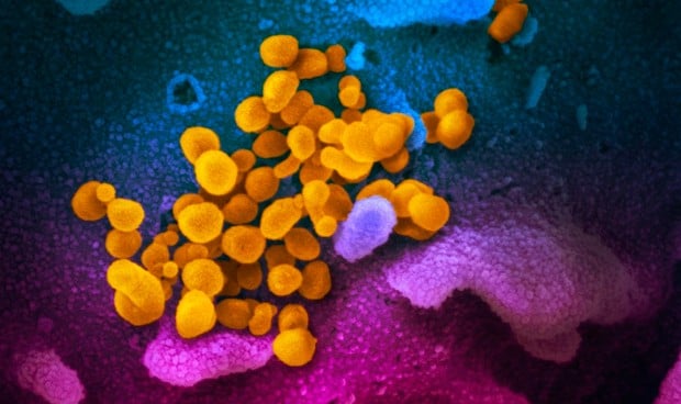 Coronavirus: España registra 2.182 muertos y supera los 3.000 curados