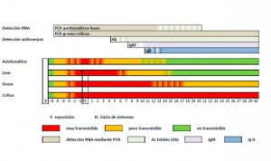 Coronavirus: Sanidad normativiza la interpretación de test rápidos y PCR