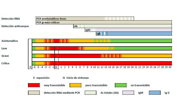 Coronavirus: Sanidad normativiza la interpretación de test rápidos y PCR