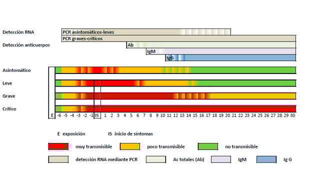 Coronavirus: Sanidad normativiza la interpretación de test rápidos y PCR