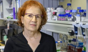 Coronavirus | Margarita Del Val: "Habrá tratamientos antes que una vacuna"