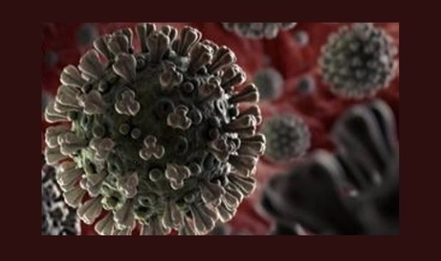 Covid-19: Ninguna mutación del coronavirus lo ha hecho más contagioso
