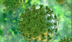 Coronavirus: España suma 87 muertes y supera los 3.000 casos positivos