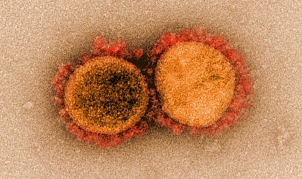 Covid-19 resumen principales noticias de coronavirus del jueves 9 de julio
