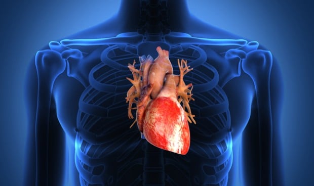 El efecto del Covid-19 en el corazón 'mata' células y compromete el latido