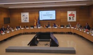 Pleno de un Consejo Interterritorial, que abordará cribados y falta de especialistas sanitarios