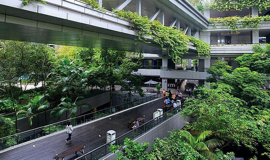 Crioges presenta nuevos resultados reales de su sistema único combinado