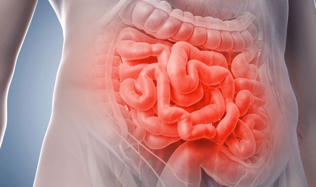 Cuatro de los siete cánceres más comunes afectan al aparato digestivo